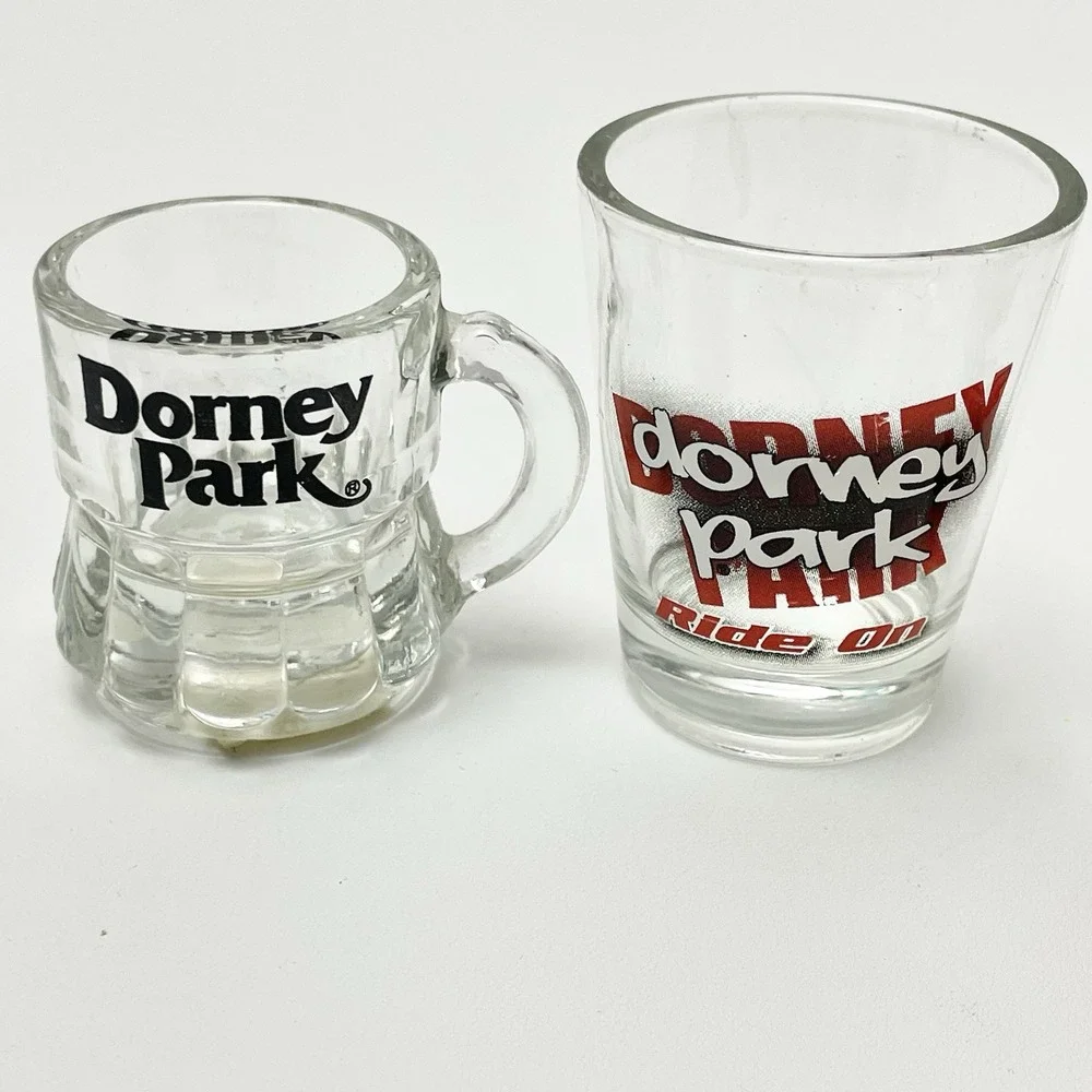 Set Of‎ 4 Dorney Park Shot Glasses Souvenirs